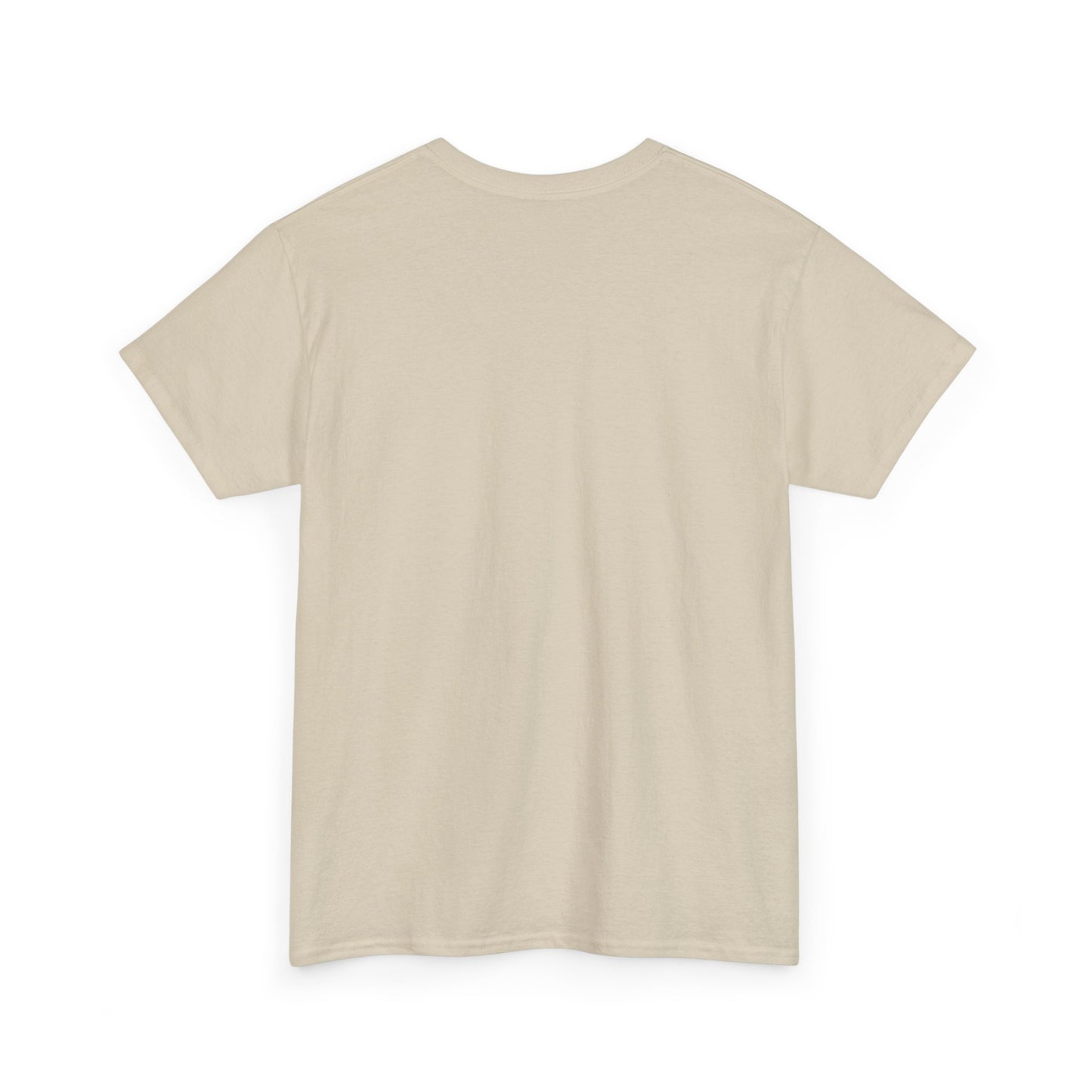 Inspirational Unisex Heavy Cotton Tee - 'Philippians 4:19'
